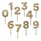 Happy Days And Funny Nights gold confetti number cake toppers set 0-9 on a cake